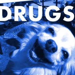 C o n t a c t  H i g h . (FULL)