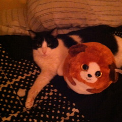 Man In The Box by Alice In Chains (guitar cover featuring Kelly "Mike" Santiago on bass)