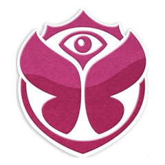 Lucas Van Bartlett - Tomorrowland Festival 2013