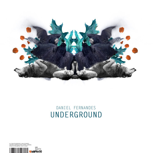 Daniel Fernandes - Underground (Fake Forward Remix) [Bamboo Music]