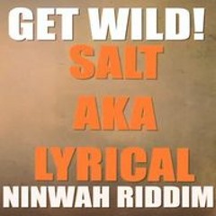 Salt aka Lyrical - Get Wild