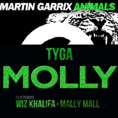 Molly Animals (Wiz Khalifa & Tyga vs. Martin Garrix, Daim, & Vanderkaart) - Z3us Mashup