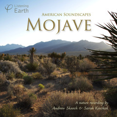Mojave, An American Soundscape - Album sample