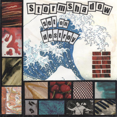 Stormshadow - Stainless Stealing & The Wage Gap
