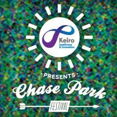 Chase Park Festival 2013