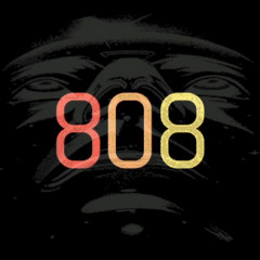 Stevee303 - 808101x0x growler jam
