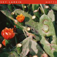 Sky Larkin - Loom