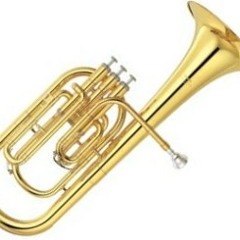 10 Concertino for Tenor Horn (3rd Mo