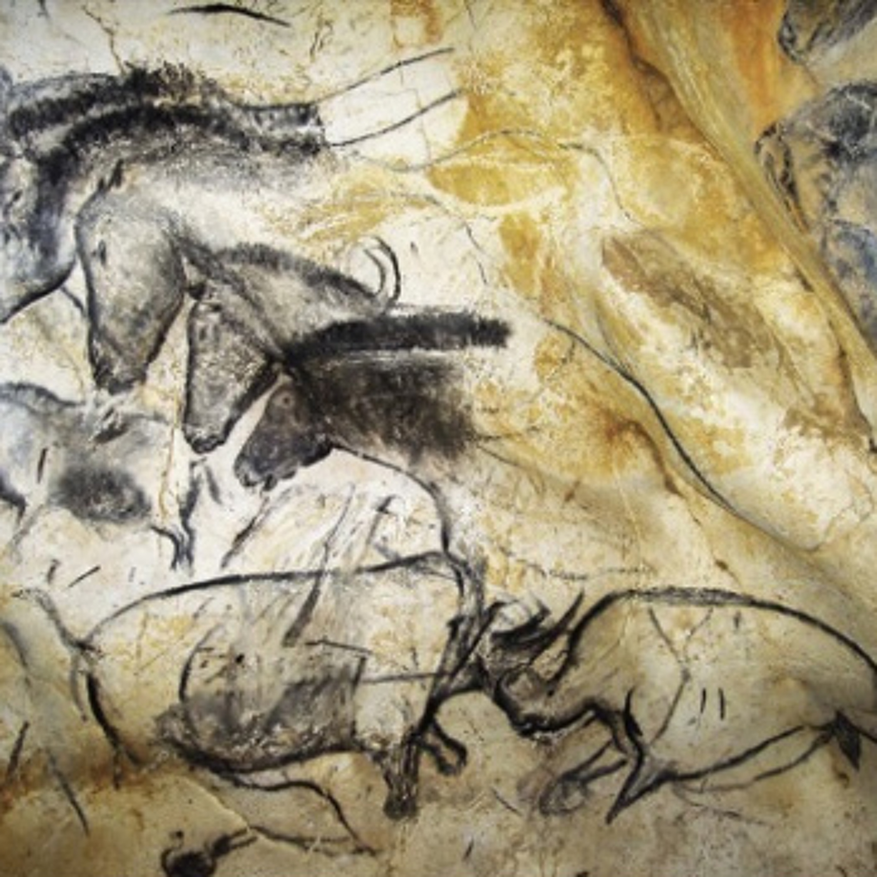 #87 The cave of forgotten dreams (2010), de Werner Herzog