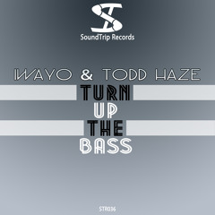 Iwayo & Todd Haze - Turn Up The Bass (Original Mix)
