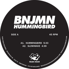 Hummingbird
