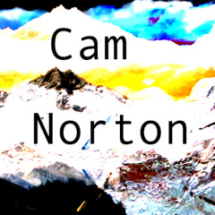 thruoutin - Chop (Cam Norton Remix)