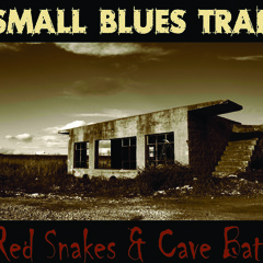 SMALL BLUES TRAP - The World Is Painted Blue Agai