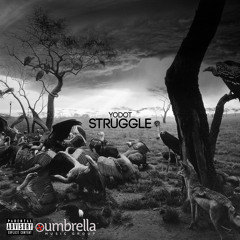 The Struggle (Produced By Deonte Hayes Of Elusive Orchestra)