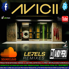 Levels Remix - Avicci Feat. DJ ANDY GONZALES
