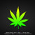 Artwork for Smoke Weed Every Day - Snoop Dogg (Hedegaard) Q Bootleg