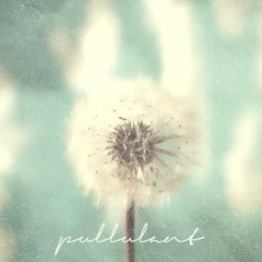 4.-JetYawar - You No