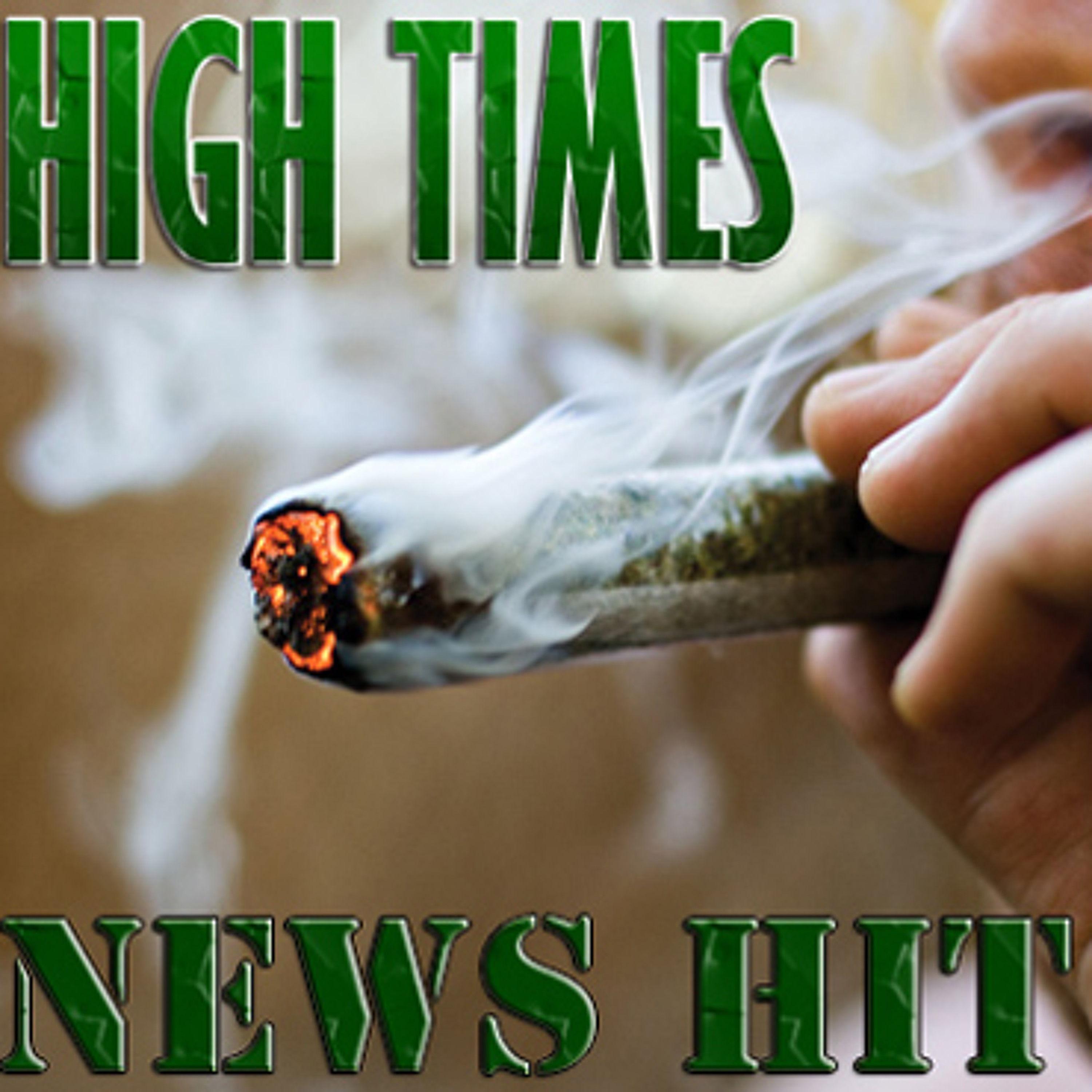 News Hit - Monday, July 29, 2013