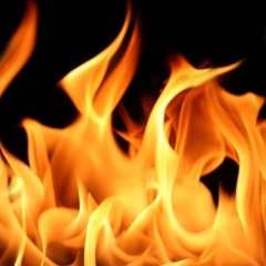 Tony T Be $tyling Freely