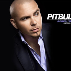 Pitbull, Mr. Vegas, Chaka Demus Reggae Mix 2013
