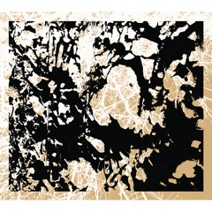 Paul Bradley, Jonathan Coleclough, Hitoshi Kojo, Colin Potter - Water Mountain (disk 2 excerpts)
