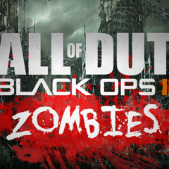 Call Of Duty Black Ops 2 Zombies Beat