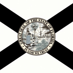 DIMITRI DUTCH - FLORIDA