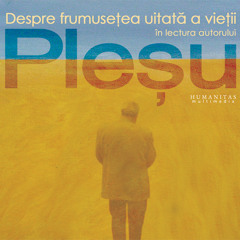 Andrei Plesu - Despre frumusetea uitata a vietii. Un audiobook Humanitas Multimedia