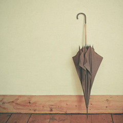 ShadyaLan藍又時-秘密(Cover By Anne)