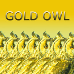 Gold Owl