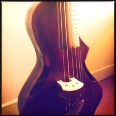 Learning The Guitarviol