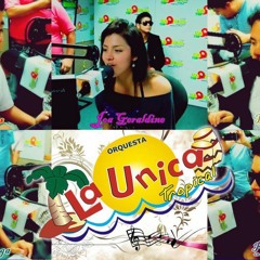 Mix Orquesta La Única Tropical - Ðj BJ  Mixes & Megamixes
