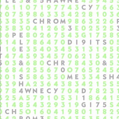 PELE & SHAWNECY - CAN´T LEAVE - CHROME DIGITS EP - COCOON RECORDINGS