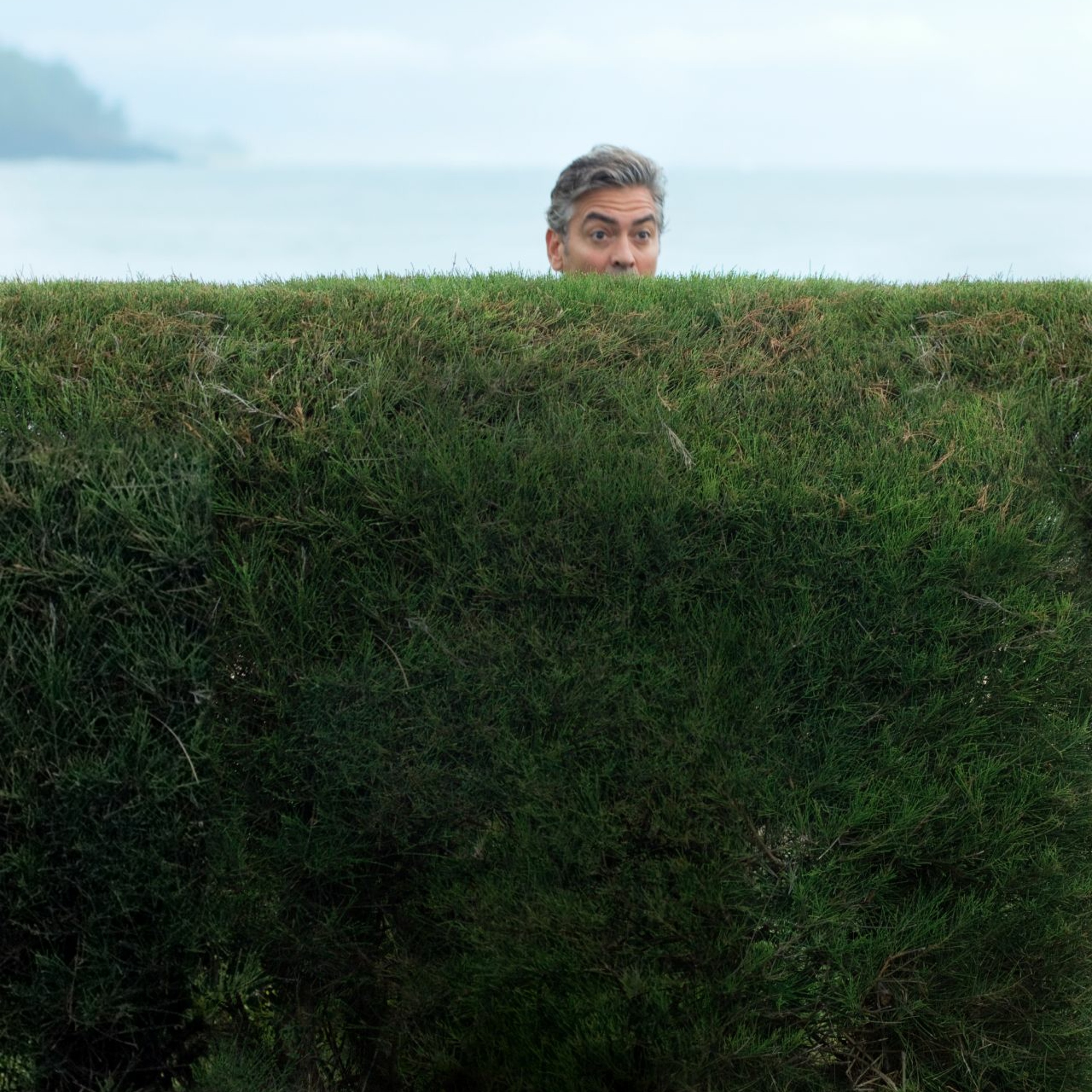 #103 Los descendientes (2011), de Alexander Payne