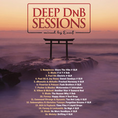 Deep DnB Sessions Vol. 22