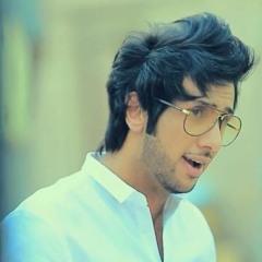 فيصل بن حمد _ ملح الحياة _ نسخة الإيقاع