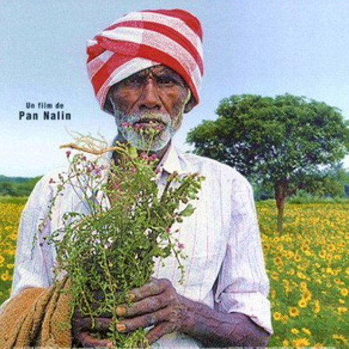 Cyril Morin - Borgia - The Path