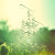Artwork for Nature | Chillstep Mix #8
