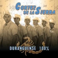 Cortez de la Sierra- El Besito Chiquiton (LIVE)