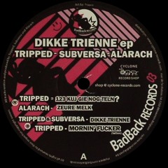 BB03   B1 Tripped & Subversa   Dikke Trienne EXCERPT