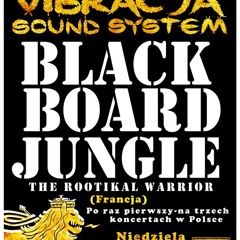 Roots Vibracja & Blackboard Jungle - 2013-03-17 - Metro - part 1