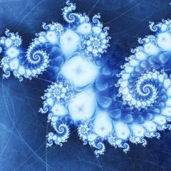 Fractal Discipline