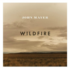 John Mayer - Wildfire (cover)