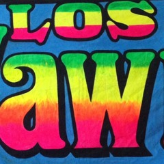 LOS WAWIS @AudioBBQ - 28_07_2013