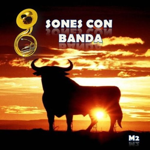 Chinelos La Destructiva Tromba Sinaloense-- Edit, Sones con banda