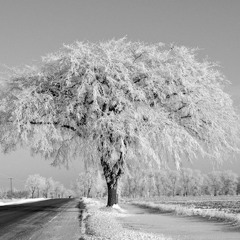 Open Wounds (with vox)