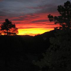 Meditation On Evening Crickets