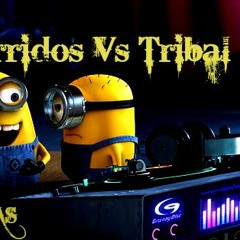 Corridos Vs Tribal