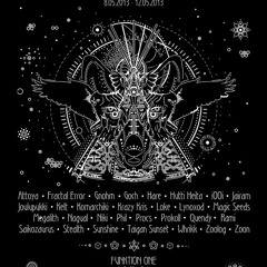 Dj Krazy Kris Hidden Space Village 2013