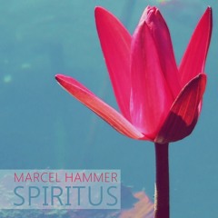 Marcel Hammer - Spiritus (Original Mix) [Soundcloud Edit]